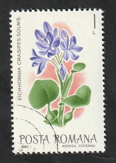 3278 - Flor exótica