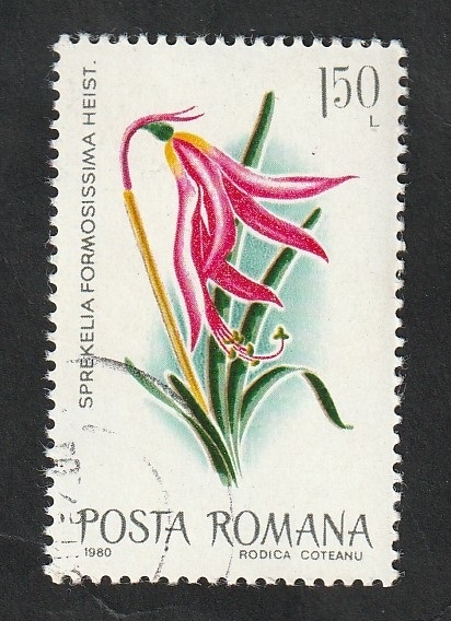 3279 - Flor exótica