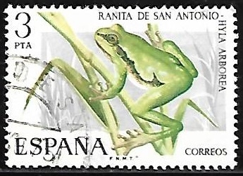 Fauna hispanica - Ranita de San Antonio