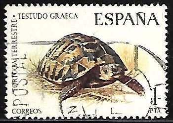 Fauna hispanica - Tortuga Terrestre