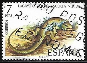 Fauna hispanica - Lagarto Verde