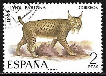 Fauna hispanica - Lince Iberico