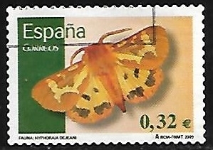 Fauna - Hyphoraia dejeani