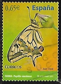 Fauna - Papilio machaon