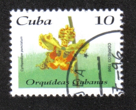 Orquídeas