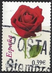 4306_Rosa