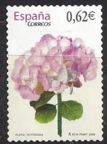 4468_Hortensia