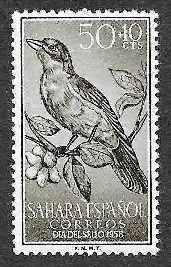 155 - Alondra Ibis (Sahara Español)