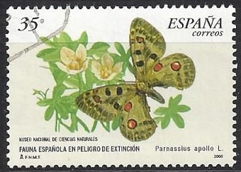3694_Fauna espanyola en peligro de extinción, Parnassius Apollo