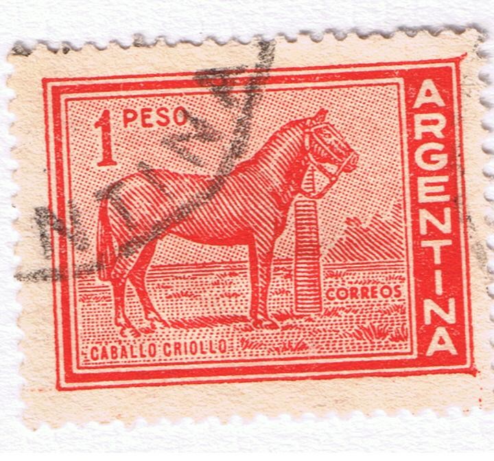 Caballo Criollo