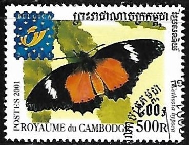 mariposas - Cethosia hypsea