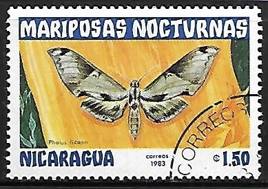 Mariposas - Pholus licaon