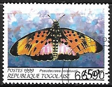 Mariposas - Pseudacraea boisduvali