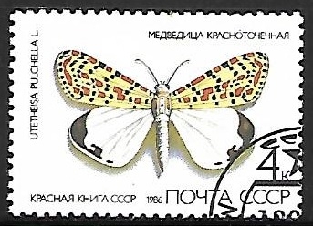 Mariposas - Utetheisa pulchella