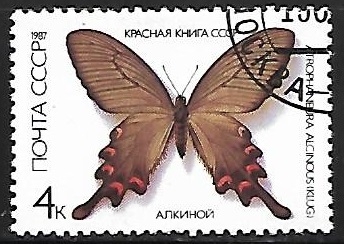 Mariposas - Atrophaneura alcinous