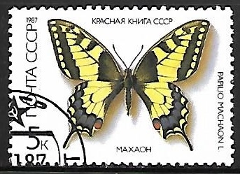 Mariposas - Papilio machaon