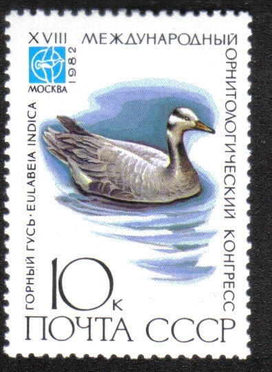 XVIII Congreso Ornitológico Internacional