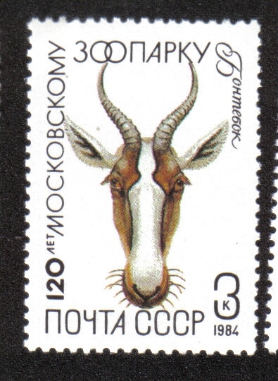 Zoológico de Moscú, 120 aniversario. Bontebok (Damaliscus pygargus)