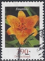 2006 - Feuerlilie