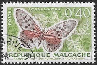 mariposa