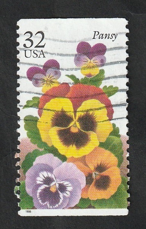 2469 - Flores de jardín