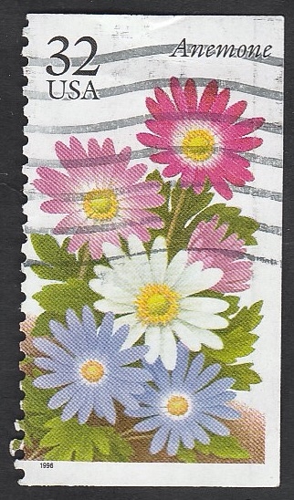 2471 - Flores de jardín