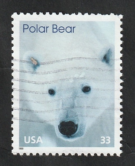 2861 - Fauna de la Antártica, oso polar