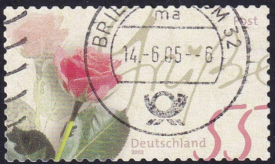 flor rosa