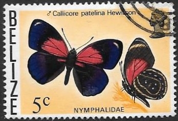 mariposas