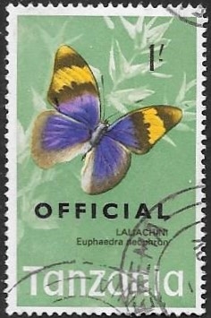 mariposas