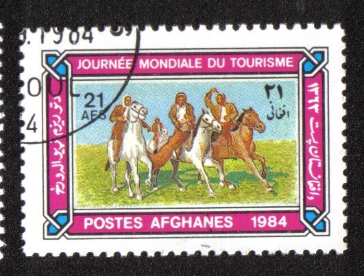 Buzkashi Game, Horse (Equus ferus caballus)