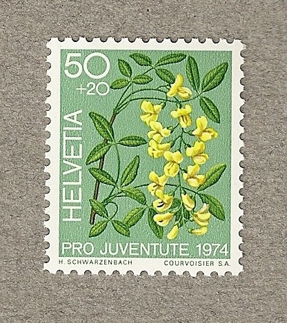 Pro Juventute 1974