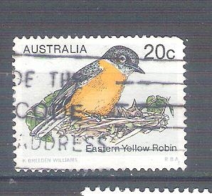 yellow robin