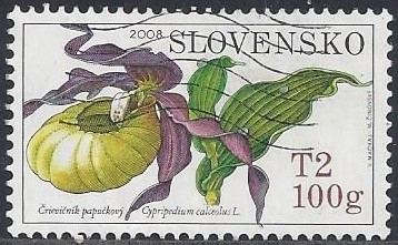 2008 - Cypripedium calceolus