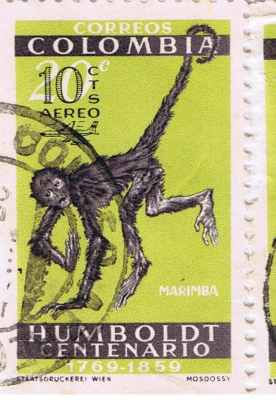 Humboldt Centenario 1769 - 1859  MARIMBA