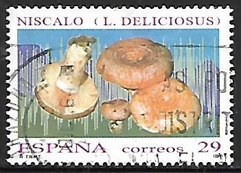 Setas - Lactarius Deliciosus