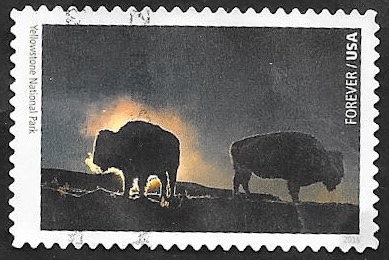 4898 - Parque Nacional Yellowstone