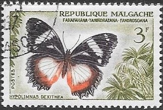 mariposas