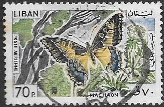 mariposas