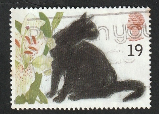 1789 - Gato