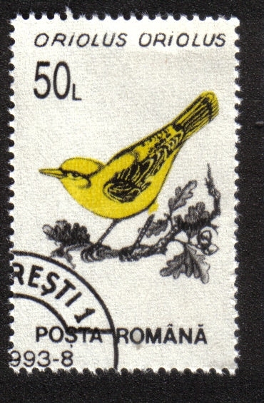 Aves 1993-1996