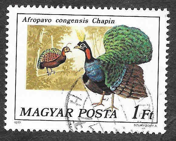 2473 - Pavo Real del Congo