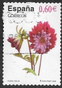 flores