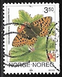 Mariposas - Freija Fritillary 