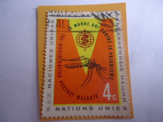 Mosquito Anofeles (Anopheles Sp) - Lucha contra la malaria.