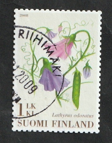 1870 - flora, lathyrus odoratus, guisante de olor