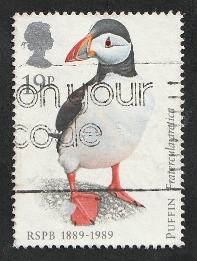 1363 - Centº de la sociedad real de protección de aves, puffin
