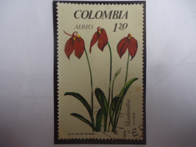 Asdevallia, Occinea - Serie:Excibición Nacional de Orquídeas . 1a Ed.