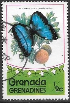 mariposas