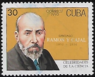 Santiago Ramón y Cajal